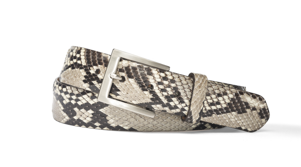 Python Belt with Brushed Nickel Buckle